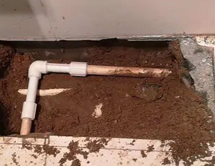 硚口测漏水哪家好