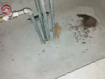 硚口卫生间测漏水价格明细