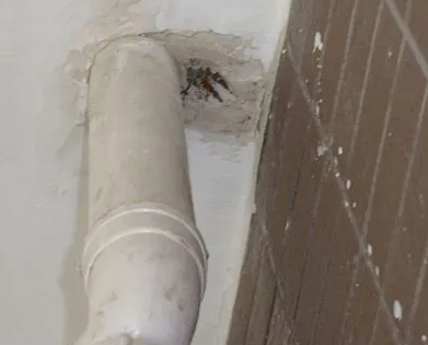 硚口漏水检测哪家好